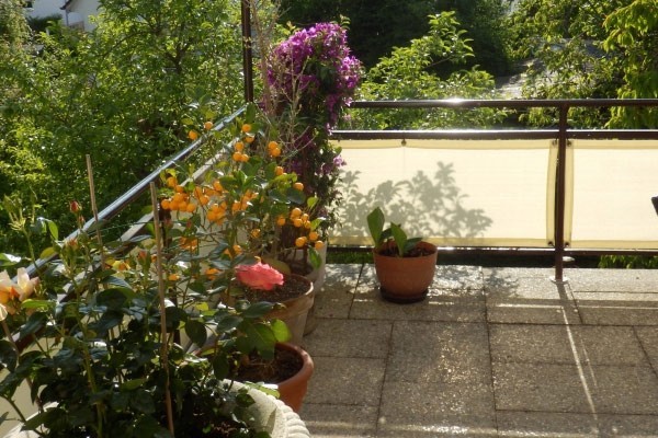 balkonsichtschutz_nach_mass Balkonsichtschutz mit Ösen