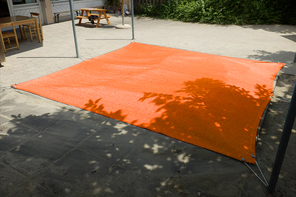 Zum Boden abgelassen gegen Laub und Katzendreck