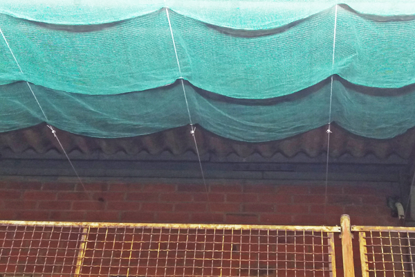 Projektvorstellung: Flexible Pflanzenschattierung bei Rothe Gartenbau