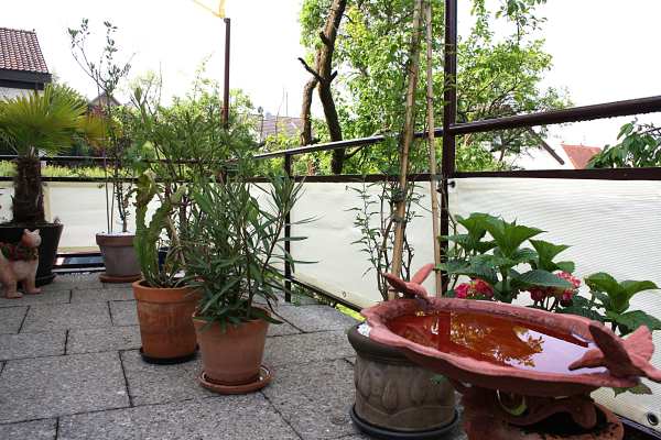 Balkonsichtschutz nach Maß mit Ösen