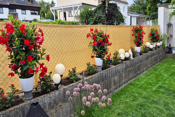 Sichtschutz zum Nachbargrundstück oder zu angrenzenden Straßen und Wegen Sichtschutz zum Nachbargrundstück oder zu angrenzenden Straßen und Wegen