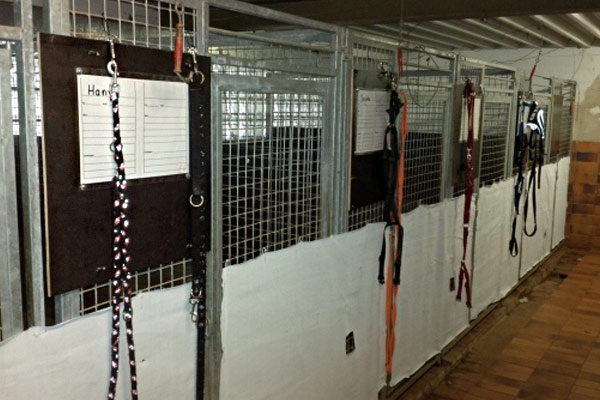 Sichtschutz für Hundezwinger in Göppingen