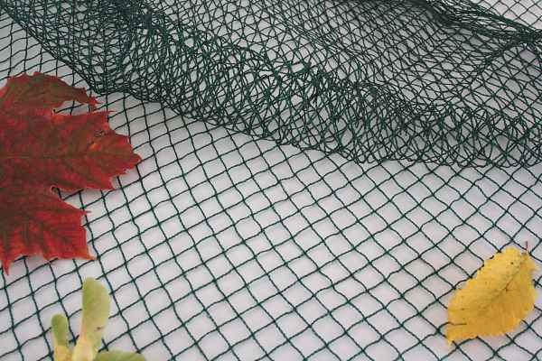 Vogelschutznetz für die Reifezeit von Obst