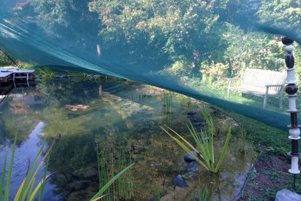 teichabdeckung_nach_mass Blogbild