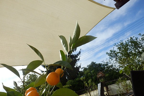 Sonnenschutz im Garten durch Schattiernetze