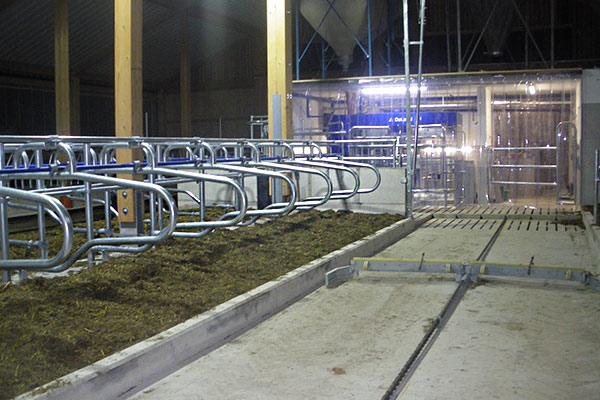 pvc-streifenvorhang-stalleinrichtung PVC-Lamellenvorhang für die Stalleinrichtung