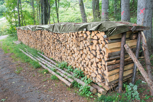 brennholzplane_vorschau_140 Brennholzplane grün mit Ösen - 140 g/m²