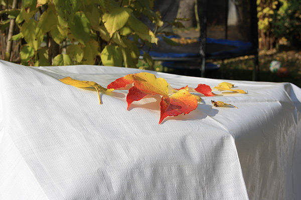 Plastikplane wasserdicht mit Ösen