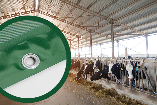 PVC-Windschutzgitter nach Maß