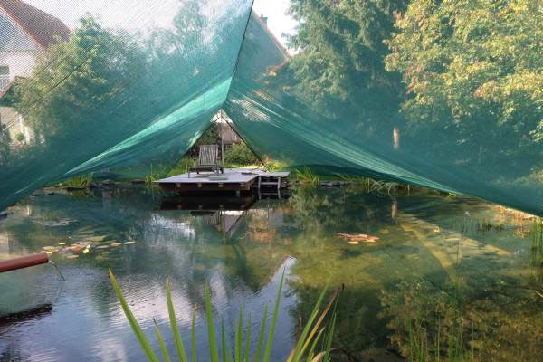 105_teichnetz_nach_mass_oesen_giebel_3 Sehr gute Lichtverhältnisse unter dem Netz