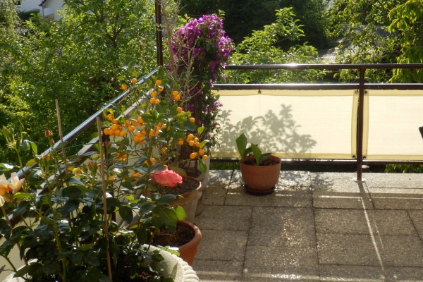 Balkonsichtschutz München - Sichtschutz und Windschutz am Balkon